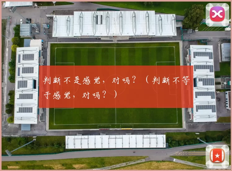 判断不是感觉，对吗？（判断不等于感觉，对吗？）