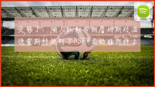 受够了，湖人队勒布朗詹姆斯对温德霍斯特进行了NSFW式的猛烈抨击