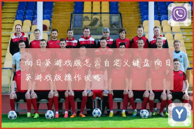 向日葵游戏版怎么自定义键盘 向日葵游戏版操作攻略