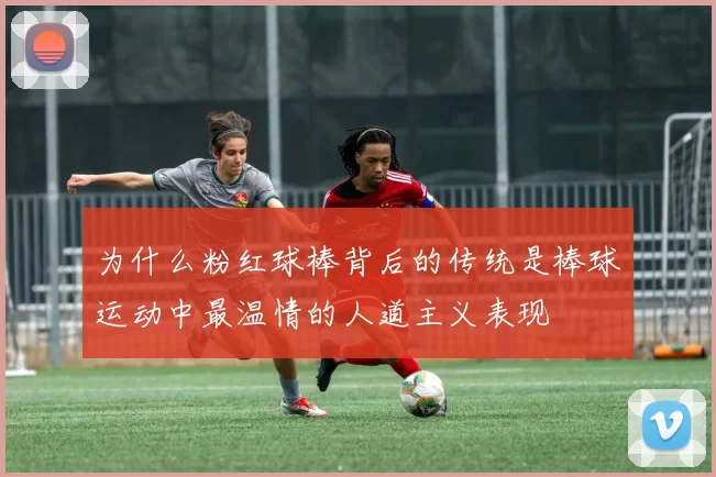 为什么粉红球棒背后的传统是棒球运动中最温情的人道主义表现