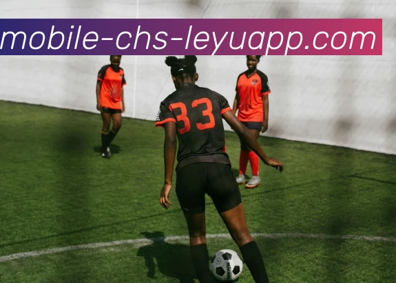 乐鱼官网服务体系